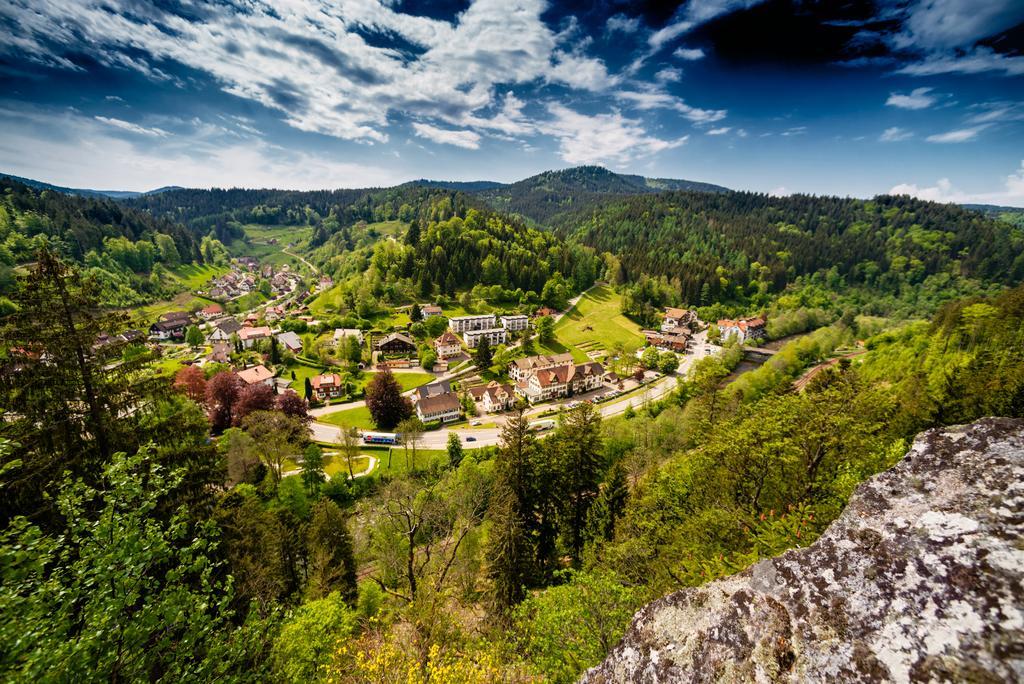 Holzschuhs Schwarzwaldhotel Баїрсбронн Екстер'єр фото