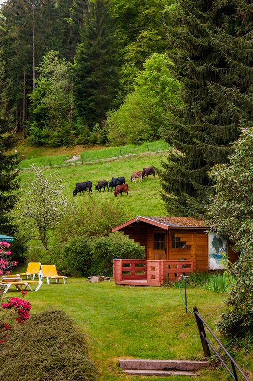 Holzschuhs Schwarzwaldhotel Баїрсбронн Екстер'єр фото